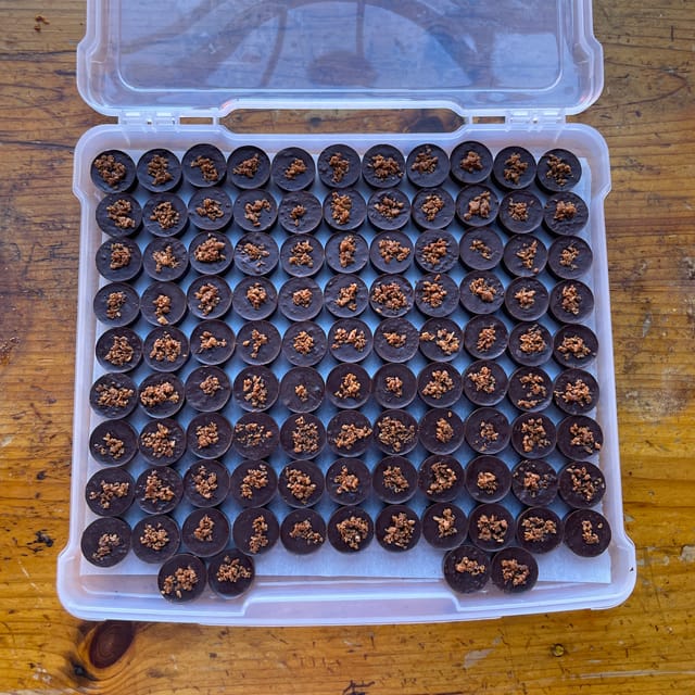 Coconut toffee chocolates, handmade by Anthony