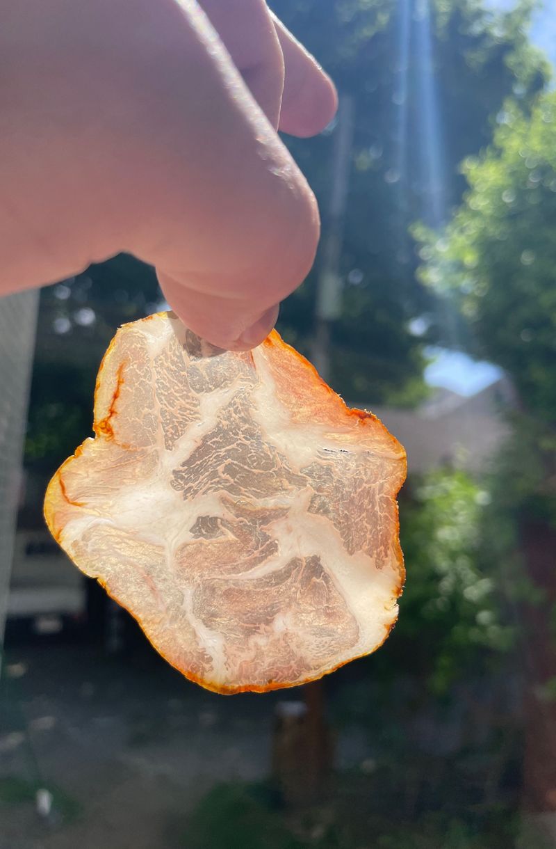 A hand holding a thin, translucent slice of house-cured coppa up to the light